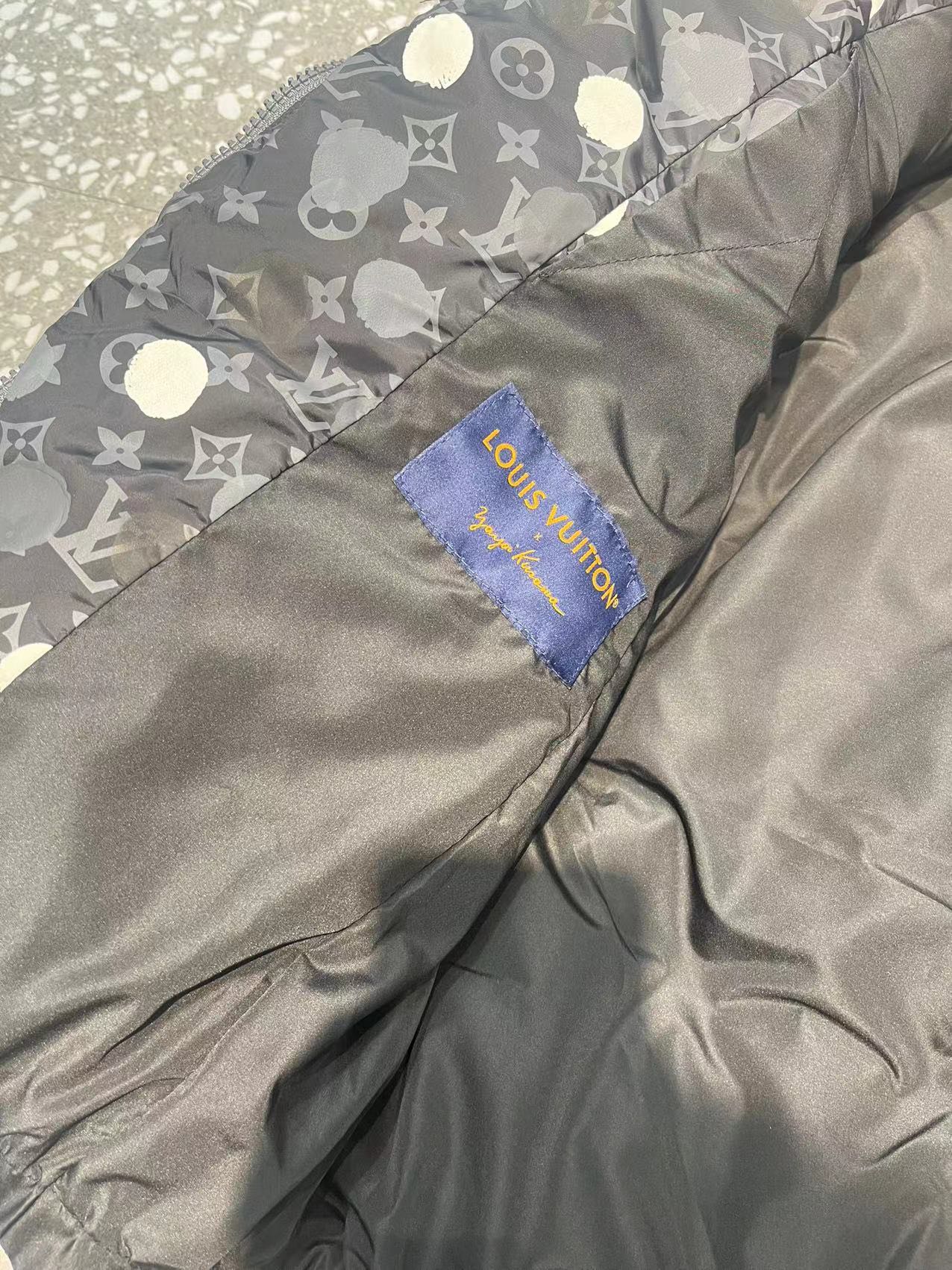 Louis Vuitton Down Jackets